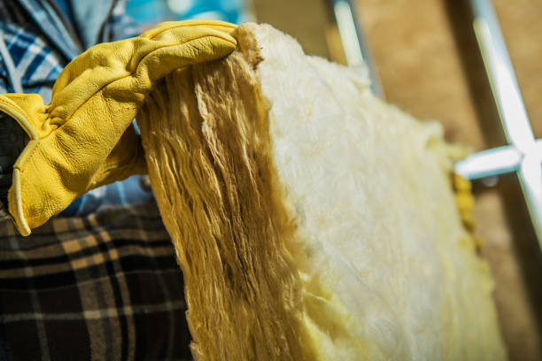 Best Insulation Materials and Products in Lake Erie Beach, NY